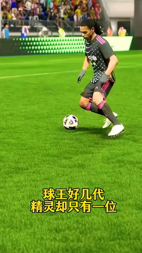 包括但不限